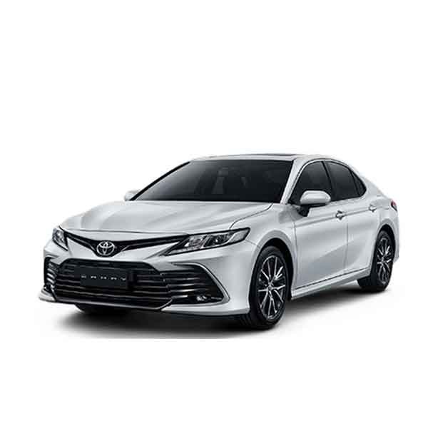 Sedan car fleet option